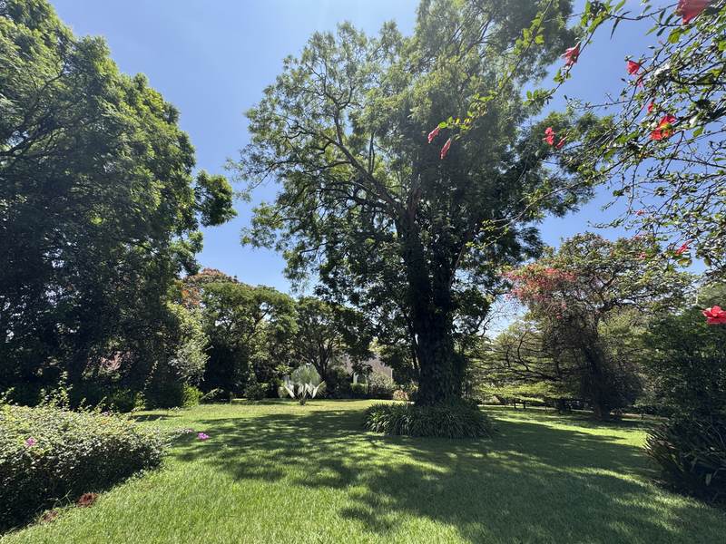 Serengeti Guest Cottage - Gallery 6